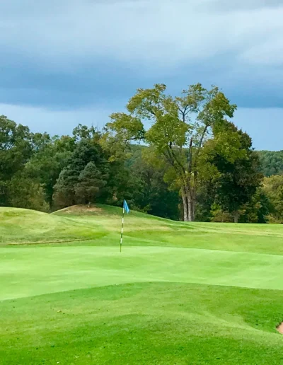 Hole1green blur