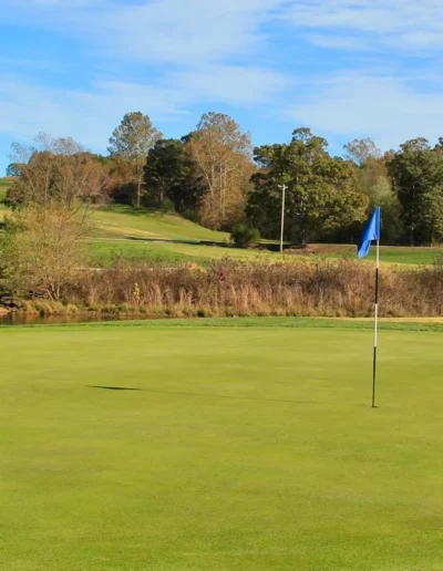 Hole4green
