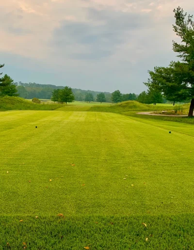 Hole8tee